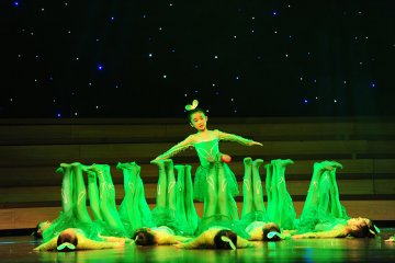 小白鸽舞蹈学校舞蹈专场演出