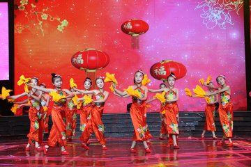 小白鸽舞蹈学校