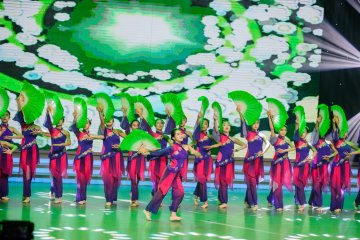 小白鸽舞蹈《茉莉花》