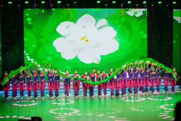 小白鸽舞蹈《茉莉花》