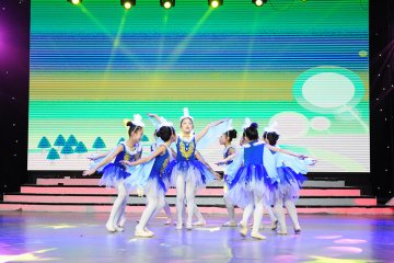 小白鸽舞蹈学校《灵燕飞舞》