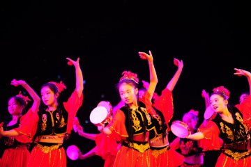 小白鸽8级学员舞蹈《大漠之花》